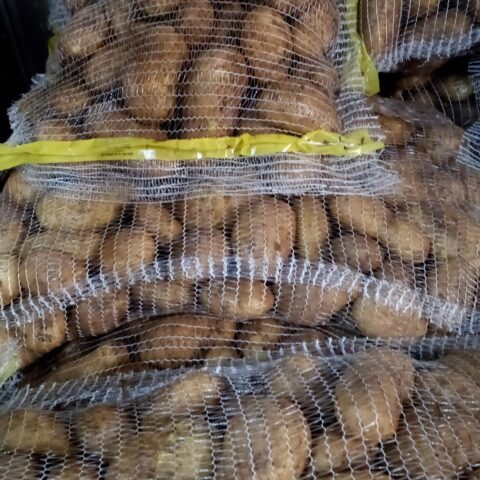 Patatas blancas Kennebec